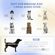 image 3 of PawHut Dog Sofa Bed Cat Sofa w/ Soft Cushion for Small Medium Large Dogs Grey
