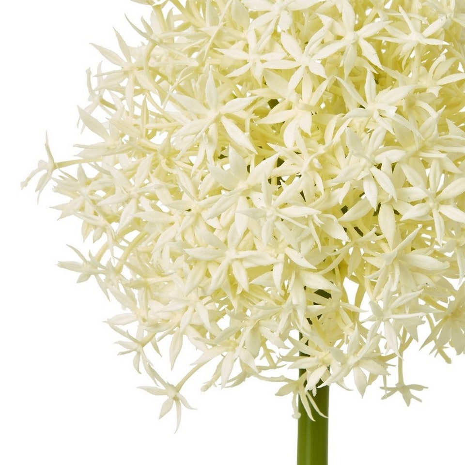 image 1 of Medium Allium (Single Stem Flower) - Plastic - L16 x W16 x H80 cm - Cream