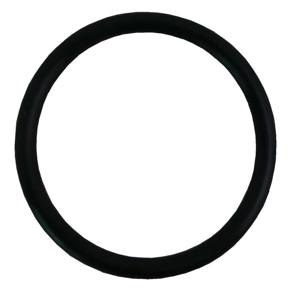 Plastica 2in O Ring pack of 10