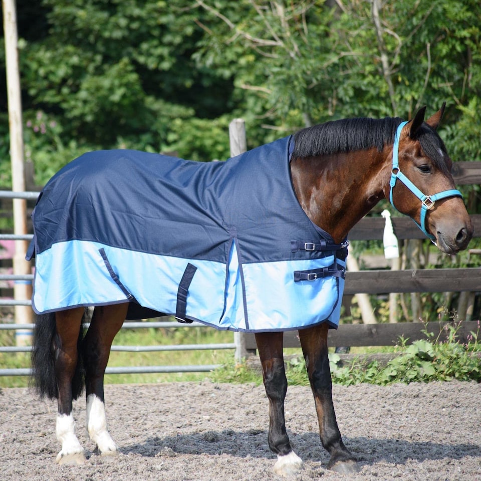 image 1 of eQuitack 600D Waterproof Horse Turnout Rug 0g No Fill Half Neck Navy/Baby Blue 5'9''