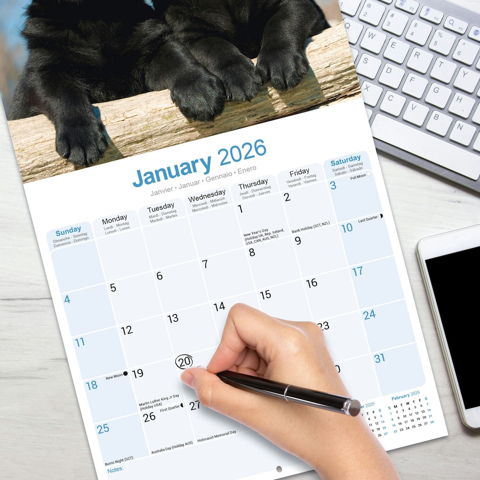 image 1 of Black Labrador Puppies 2026 Calendar | Square Wall Calendar | Dog Breed Gift | Plastic Free Packaging | by Avonside Publishing