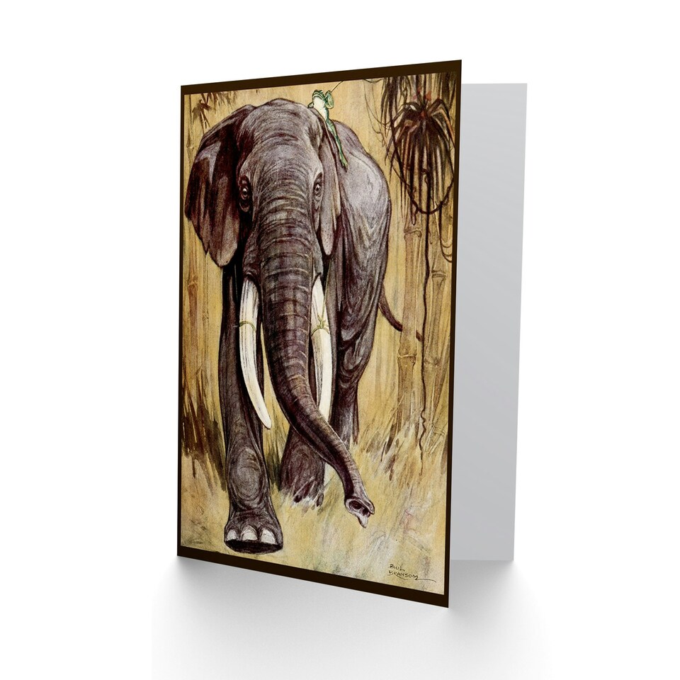 image 1 of Bransom Cooper Fables Angola Present Frog Art Card