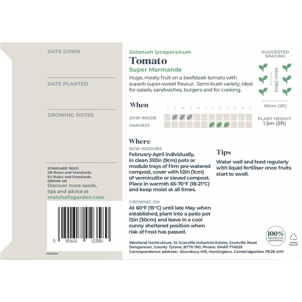 image 1 of Marshalls Garden Super Marmande Tomato Seeds - 55 seeds