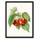 image 1 of John Wright Framed Wall Art Vintage Illustration of Bigarreau Cherries