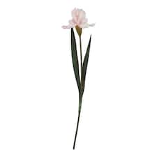 The Natural Garden Collection Fringed Iris - Artificial Flower (Single Stem) - Plastic - L13 x W13 x H83 cm - Pale Pink