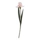 image 1 of The Natural Garden Collection Fringed Iris - Artificial Flower (Single Stem) - Plastic - L13 x W13 x H83 cm - Pale Pink