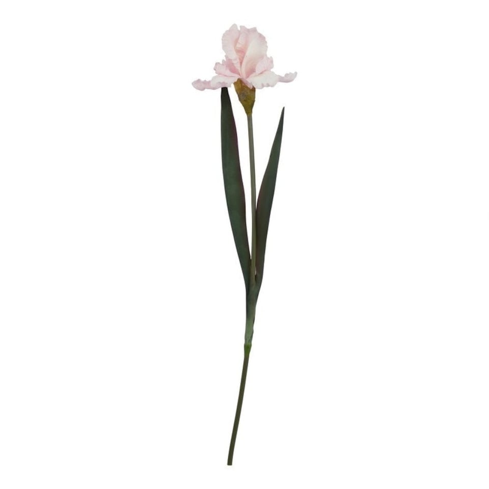image 1 of The Natural Garden Collection Fringed Iris - Artificial Flower (Single Stem) - Plastic - L13 x W13 x H83 cm - Pale Pink