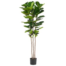 180cm Premium Artificial Fiddle Leaf Fig Tree | Green | 6ft
