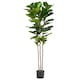 image 1 of 180cm Premium Artificial Fiddle Leaf Fig Tree | Green | 6ft