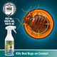 image 7 of NOPE CP Bed Bug Killer Spray Treatment - 500ml - Odourless & Non-Staining for Mattress, Bed Frames, Carpets, Furniture