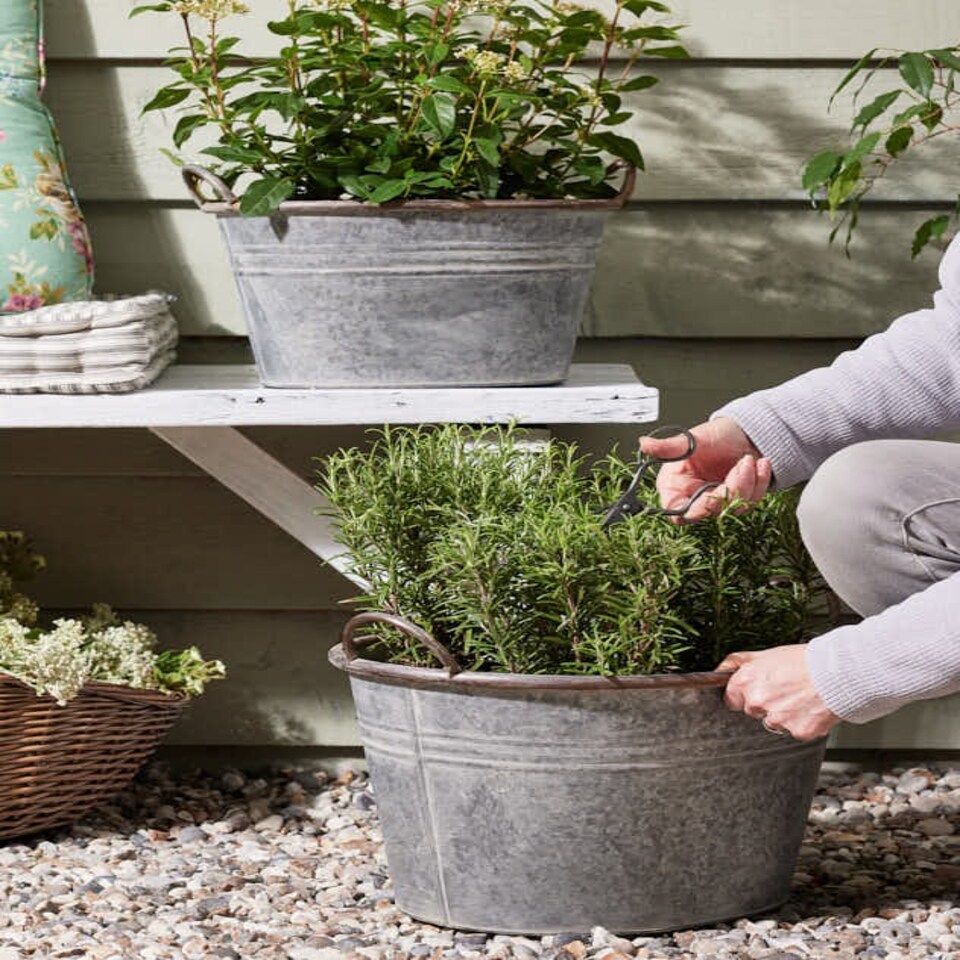 image 1 of Galvanised Tub Planter Grey