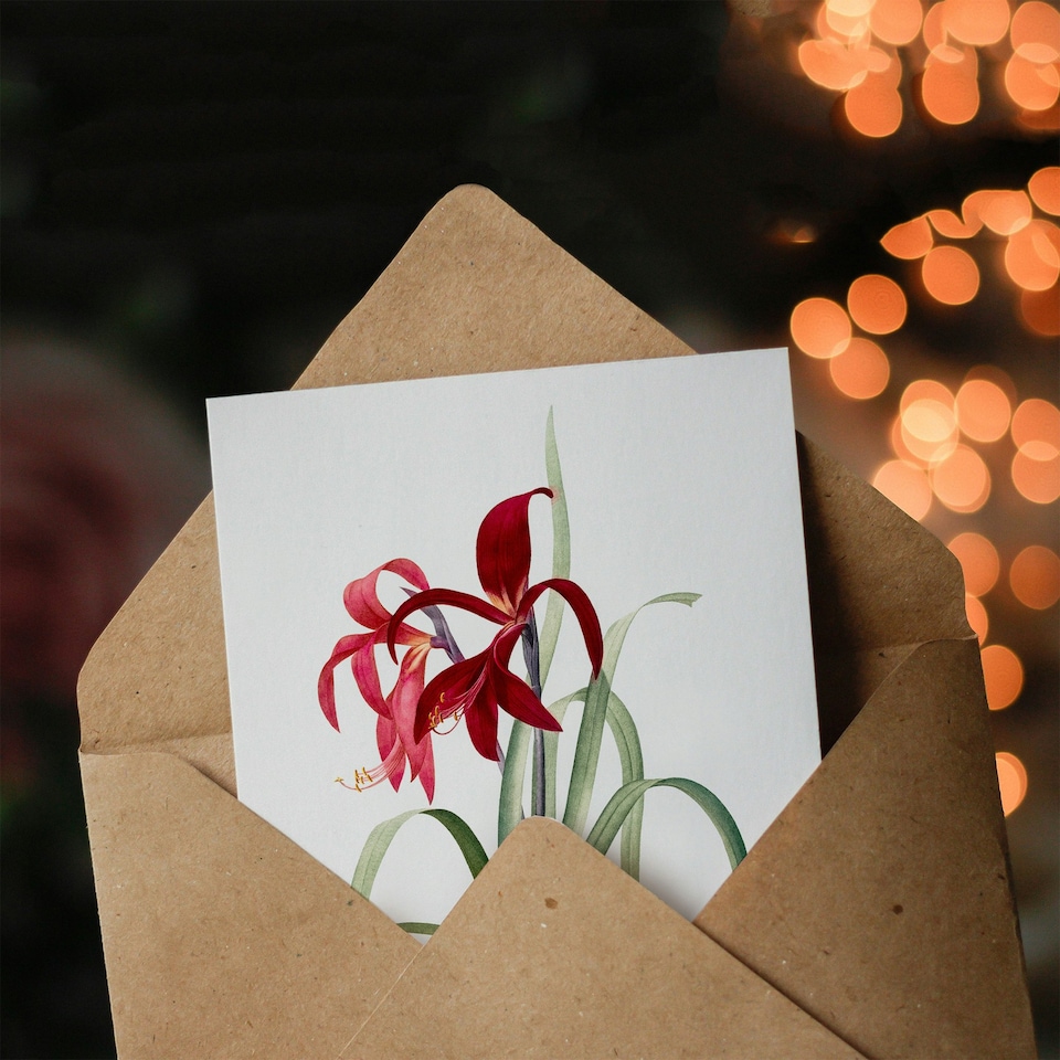 image 1 of Pierre-Joseph Redouté Art Card Aztec Lily Vintage Botanical