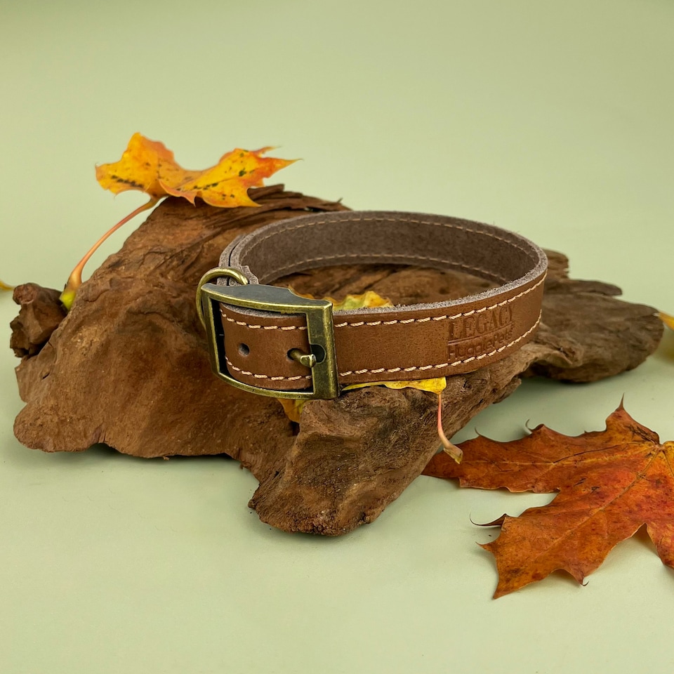 image 1 of HugglePets Legacy Leather Dog Collar - Tan N/A | S