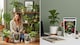 image 7 of Premium Soluble Plant Food for Healthy Indoor Plants and Foliage Includes Precision Measuring Scoop Concentrated Formula