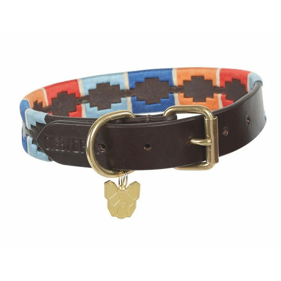 Shires Leather Dog Collar - Turquoise/Red/Orange - S - Neckline: 14in-18in