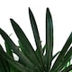 image 3 of Raphis Palm Artificial Tree 100cm - Realistic plant by Botanik | Green | 3ft