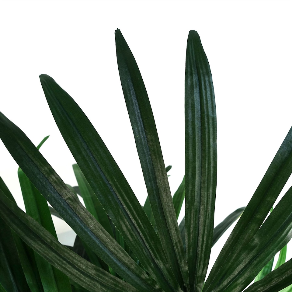 image 1 of Raphis Palm Artificial Tree 100cm - Realistic plant by Botanik | Green | 3ft