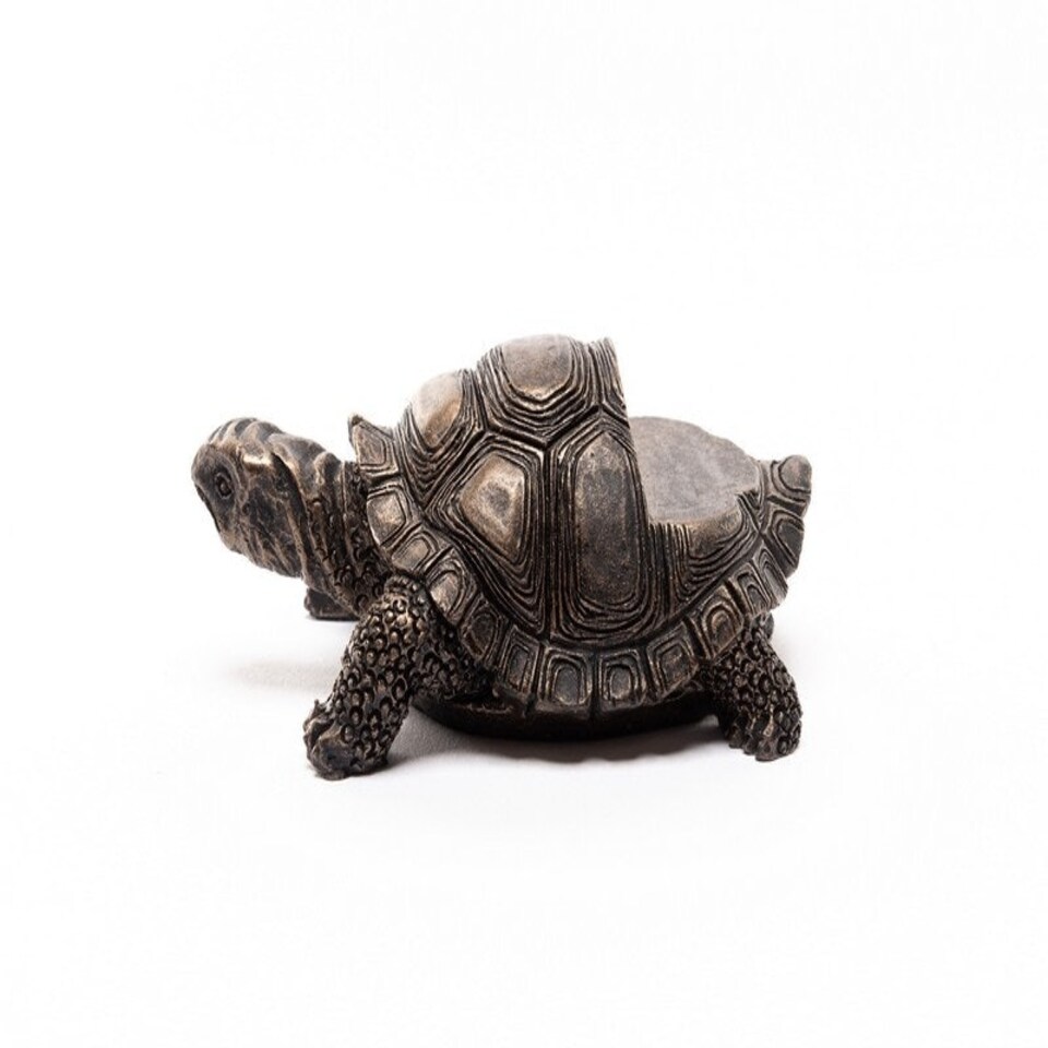 image 1 of Tortoise Plant Pot Feet - Set of 3 - L8.5 x W6 x H5 cm | Grey
