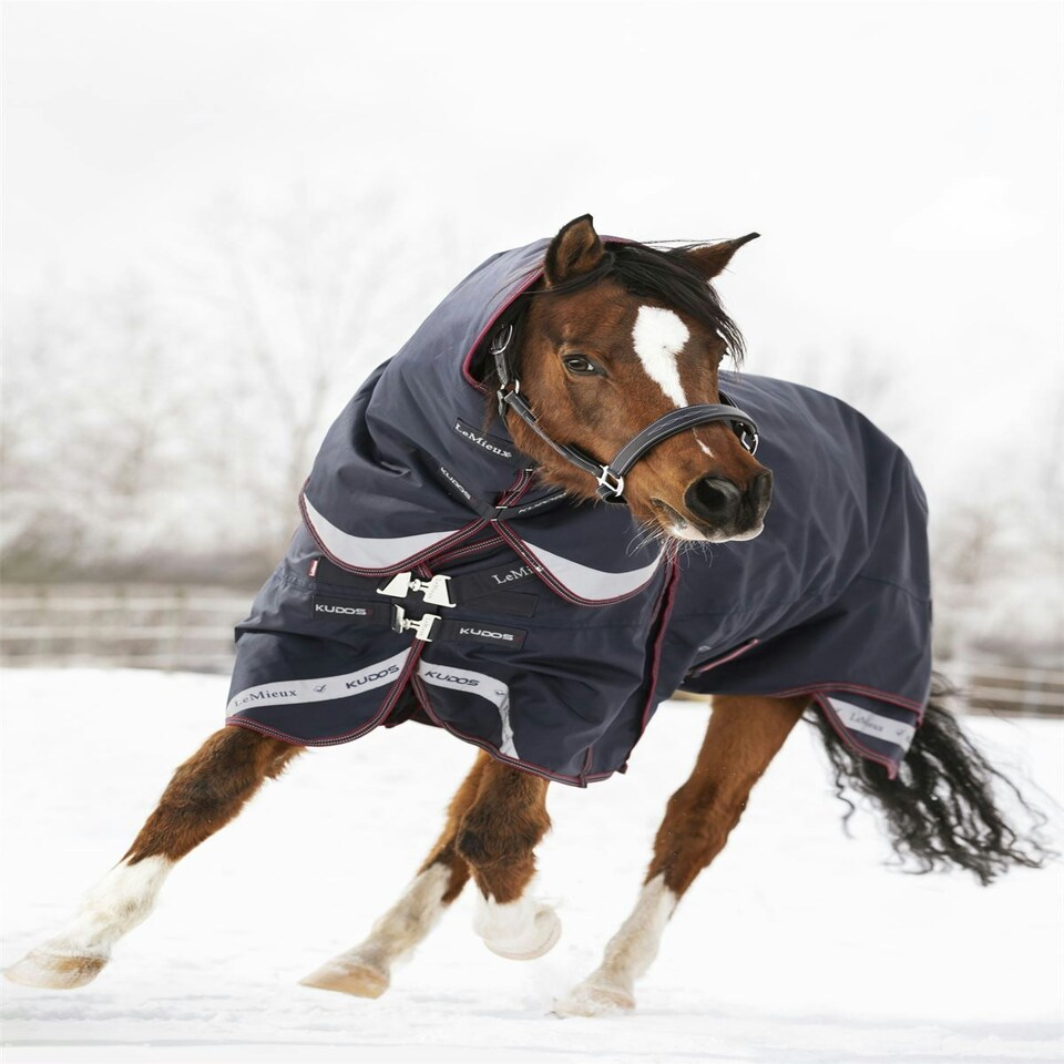 image 1 of LeMieux Kudos Turnout Rug 200g Blue | 5ft 0