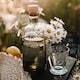 image 2 of Tumbler: 1 x 25cl La Rochere Versailles Footed Tumbler, Glass Clear