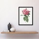 image 4 of Giant Gallica Rose Floral Redoute Vintage Framed Wall Art Print 12X16"
