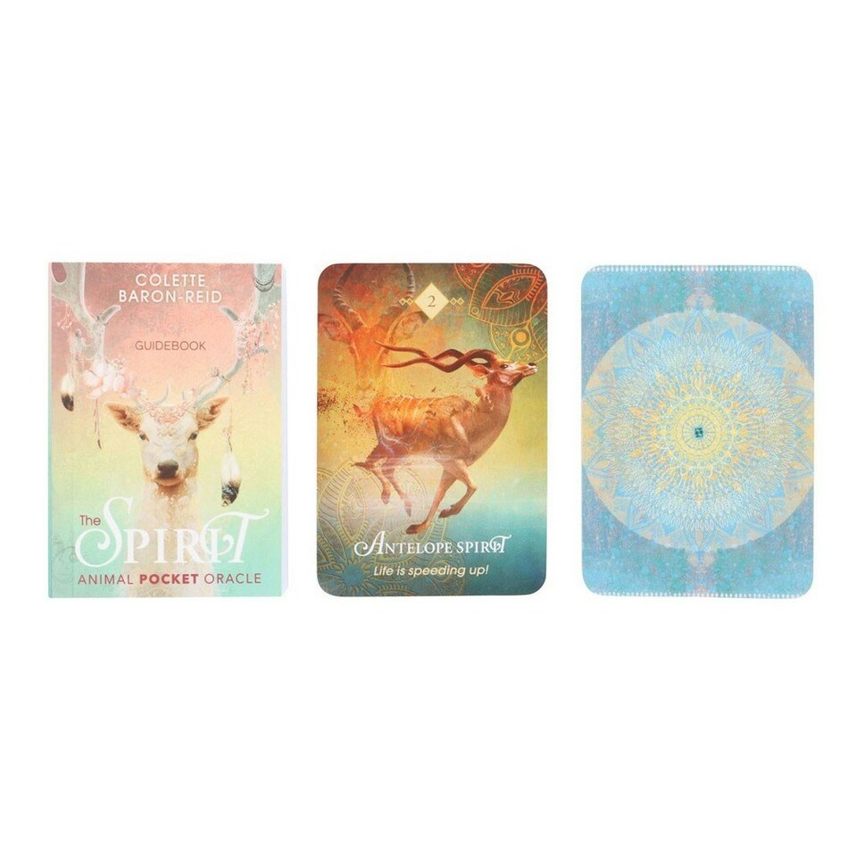 image 1 of Colette Baron-Reid The Spirit Animal Pocket Oracle Cards - Multicoloured - One Size