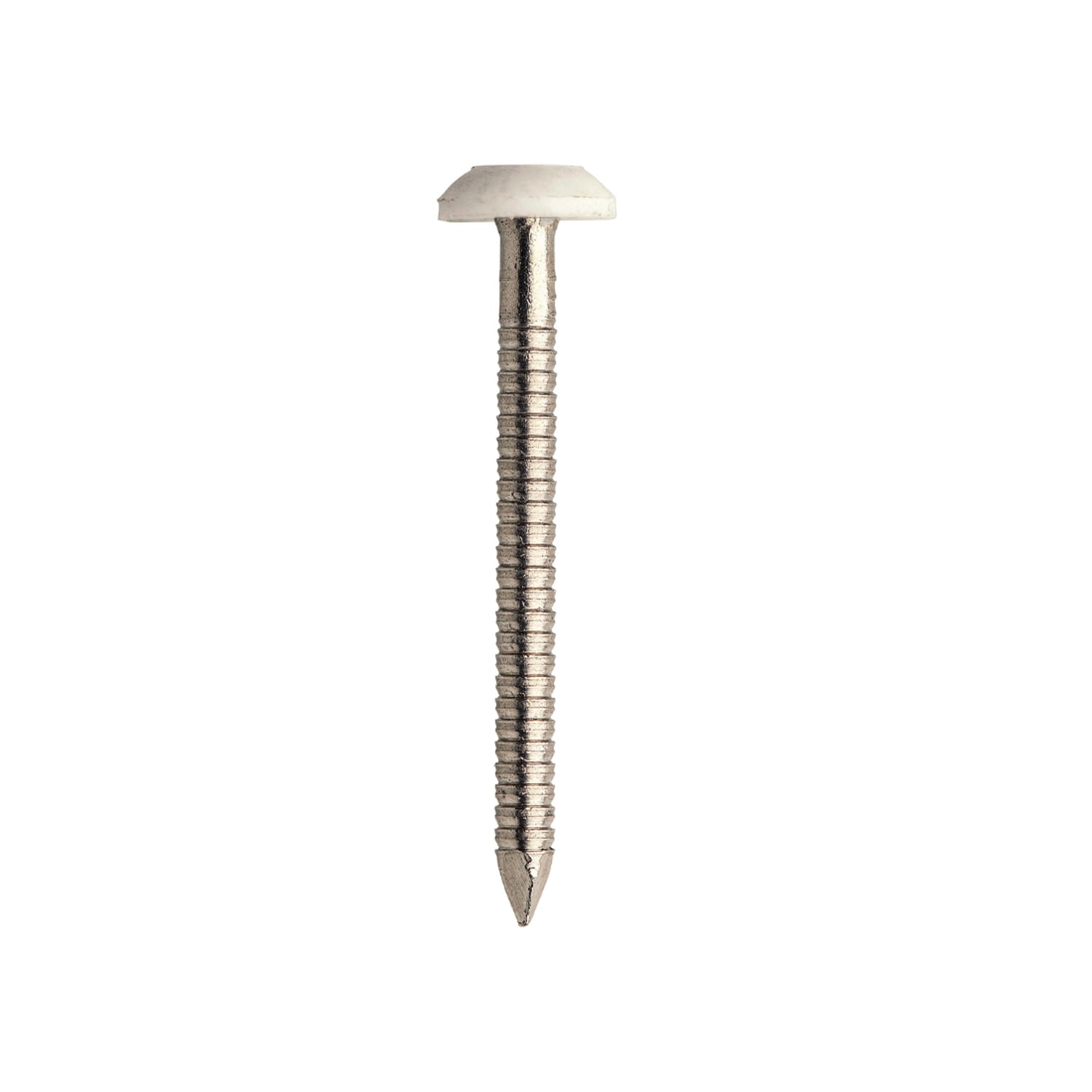 JCP CONSTRUCTION PRODUCTS A4-316 St/St Plastic Headed Nails - Box of 250 in White