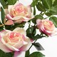 image 3 of 50cm Artificial Pink Rose Plant