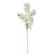 image 4 of Large Full Cherry Blossom Stem - Plastic - L6 x W8 x H100 cm - White