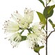 image 2 of Hill Interiors Protea Nitida Stem Artificial Flower Spray - Cream - One Size