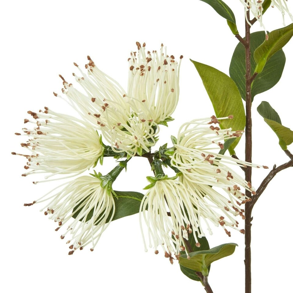 image 1 of Hill Interiors Protea Nitida Stem Artificial Flower Spray - Cream - One Size