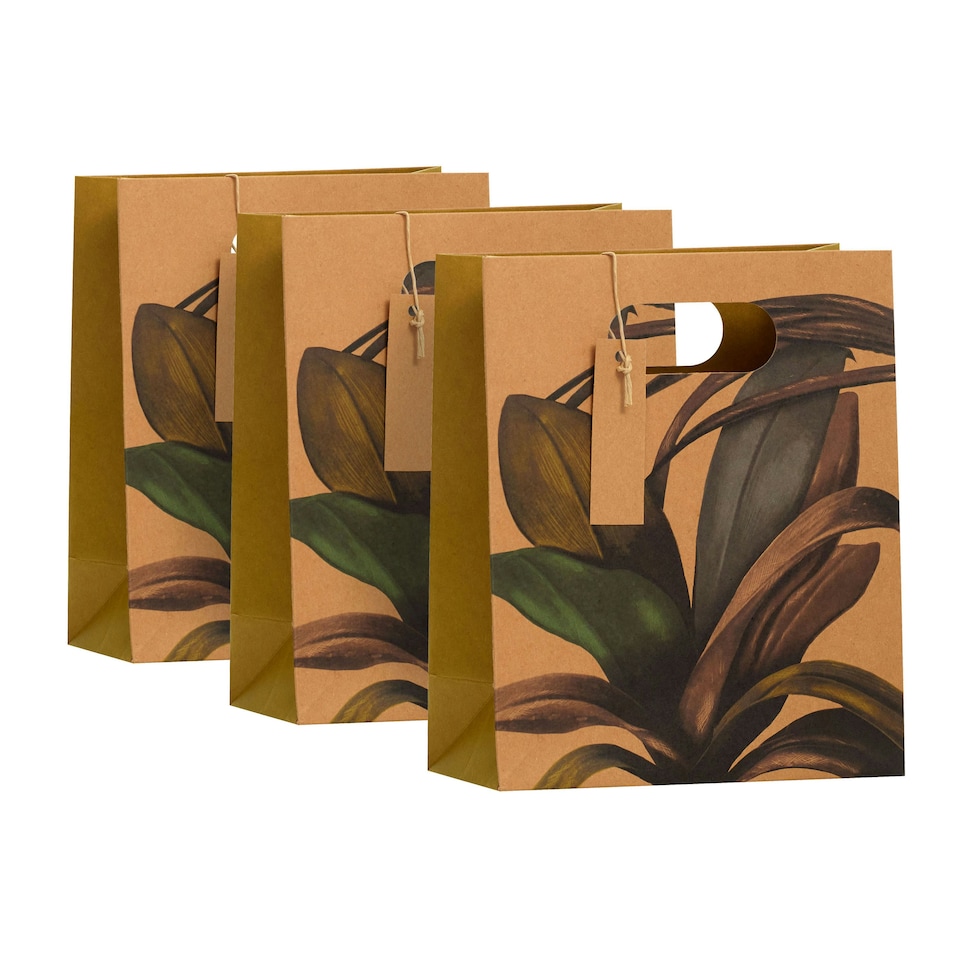 image 1 of Botanical Medium Gift Bag - Pack of 3