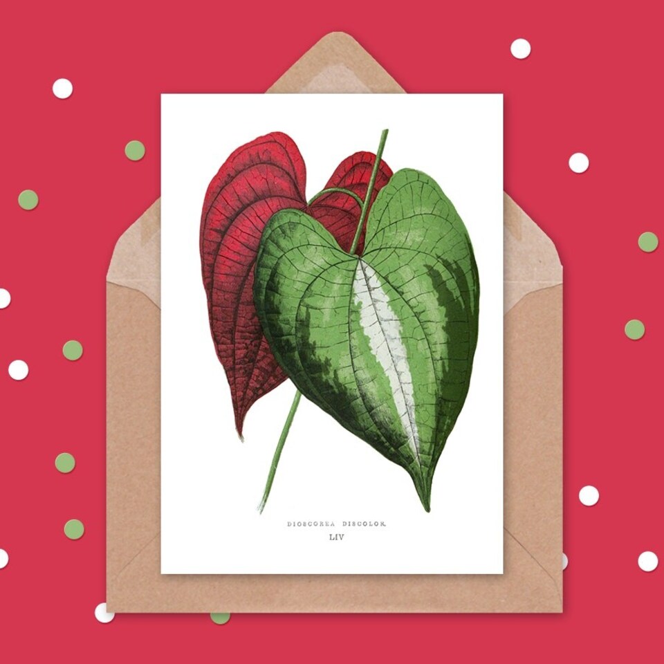 image 1 of Leaf Dioscorea Discolor Art Blank Just to Say Card