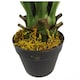 image 3 of 55cm Artificial Yucca Plant | Green | One Size