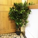 image 4 of 90cm Artificial Ficus Tree Bush - Large Bushy Plant | Green | 3ft