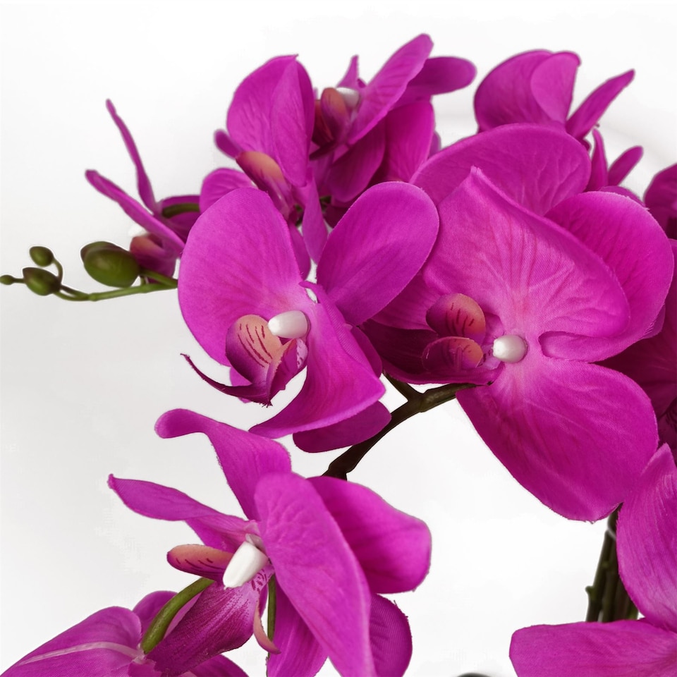 image 1 of Artificial Deluxe Bush Orchid Pink 85cm Bush Orchid Lots of Flowers Botanik