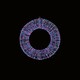 image 1 of Premier Light Up White Christmas Wreath Rainbow LEDs 45cm