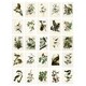 image 2 of John Audubon Birds of America Illustrations A6 Art Set of 50 Unframed Prints | Multi