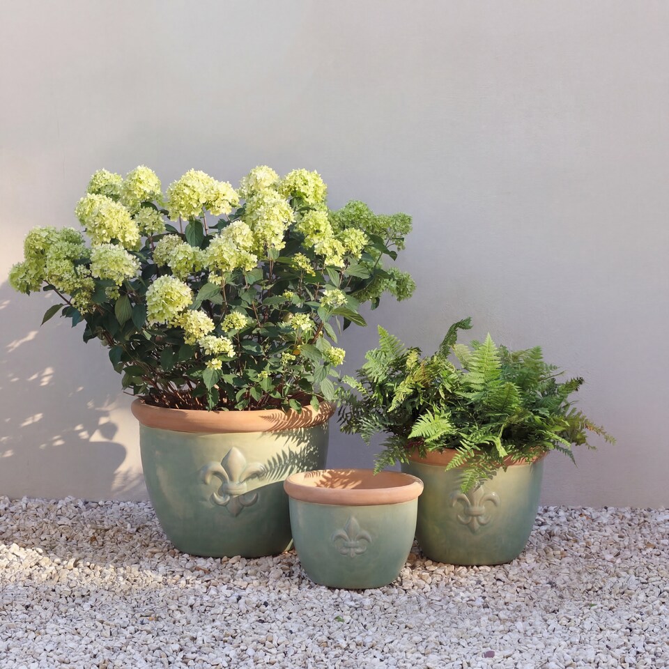 image 1 of Primrose Fiore Fleur De Lys Patterned Ceramic Planter in Green 42cm | Green | Green