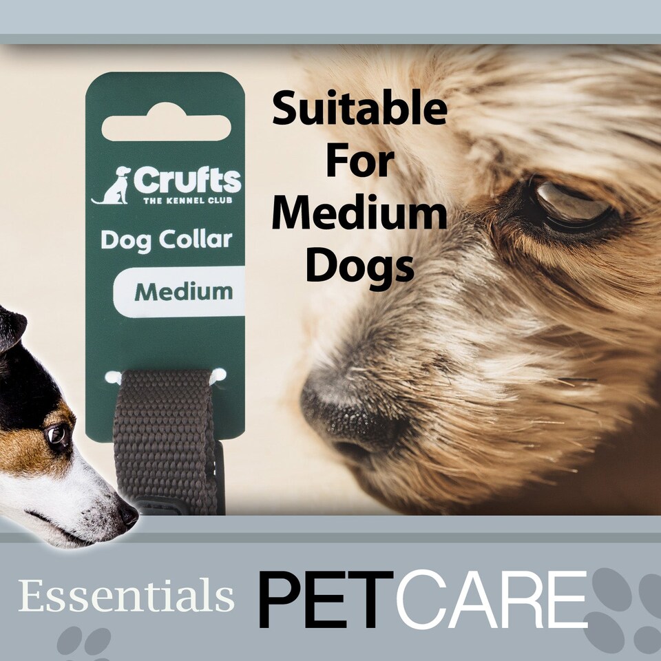 image 1 of PMS Crufts Medium Black Nylon Collar for Dogs