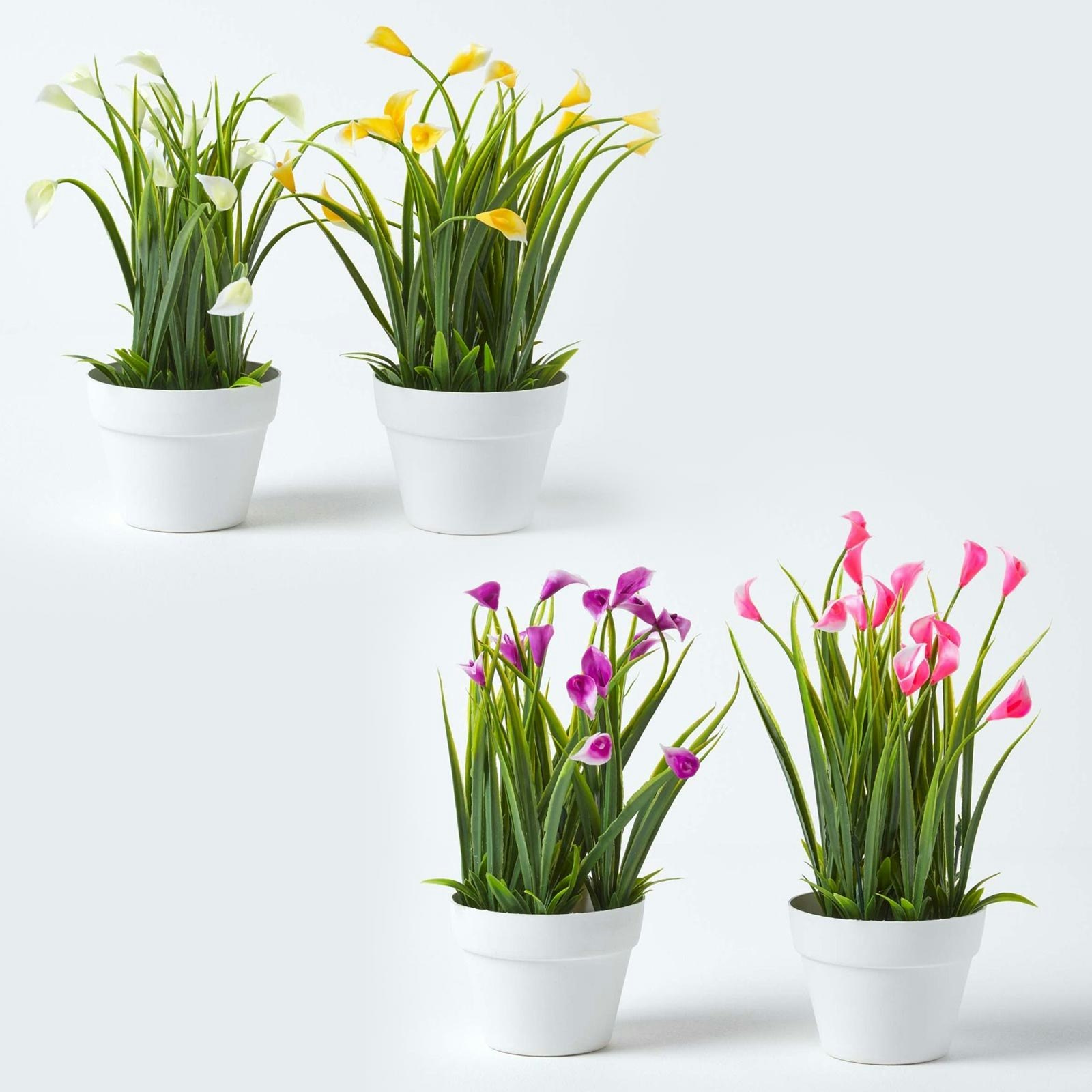 Homescapes Set of 4 Multi-Coloured Artificial Calla Lilies in White Pots