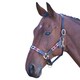 image 2 of Blenheim Leather Polo Horse Headcollar - Turquoise/Red/Orange/Blue - Pony