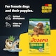 image 2 of Josera Mother & Puppy Salmon & Rice | Pregnant & nursing mothers | Weaning puppies | Soakable small kibble | Optimal development | Gluten free | 12.5kg