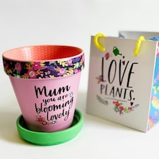Love Plants Pot Ceramic Growing Garden Mum You Are Blooming N/A