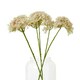 image 3 of Crown Hydrangea (Single Stem Flower) - Plastic - L16 x W18 x H71 cm - Pink