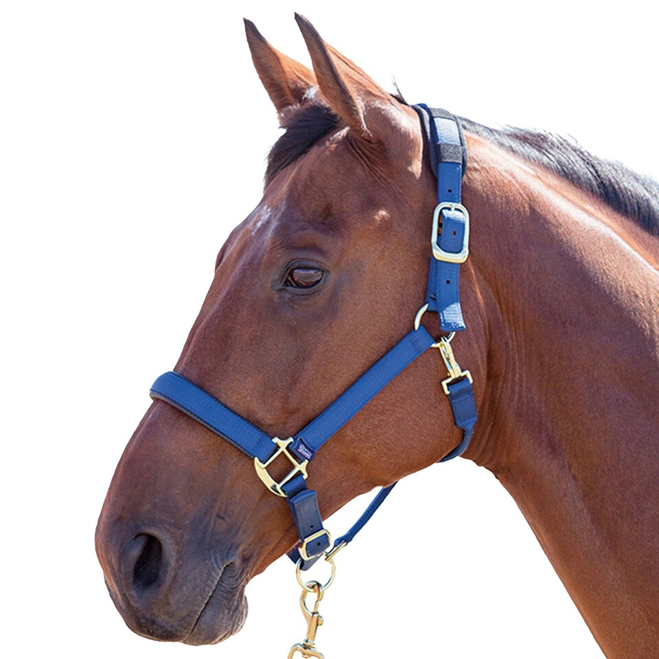 Shires Topaz Nylon Horse Headcollar - Navy - Pony