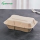 image 3 of Bagasse Sugarcane Takeaway Meal Boxes 9x6 Clamshell Food Containers TUV Home Compostable Certified, Unbleached, PFAS Free & Sturdy for Hot & Cold Food, Restaurants, BBQs Parties