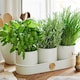 image 4 of Burgon & Ball Sophie Conran Herb Pots Buttermilk