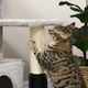 image 6 of PawHut Cat Tree with Scratch Post Condo Perch for Indoor Cats, 85cm, Grey