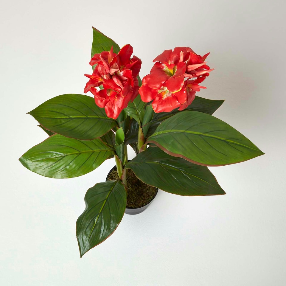 image 1 of Homescapes Artificial Canna Lily Plant, 90 cm Tall